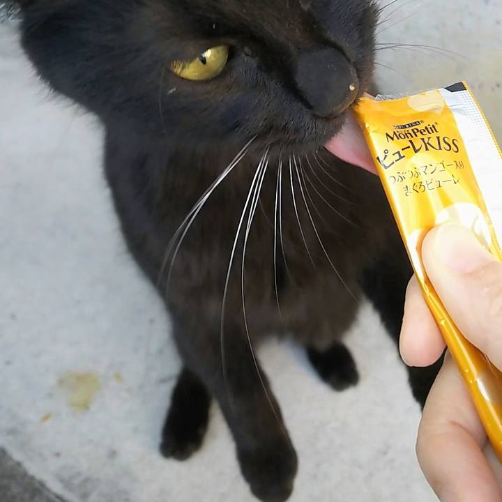 Cf0e1d90 9609 4e0e 8b3c d91ffc408545 1552124426504