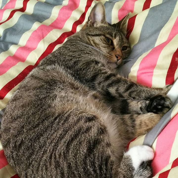 Cf0e351d 95f1 418c afef 2f79401e98ba 1529762062934