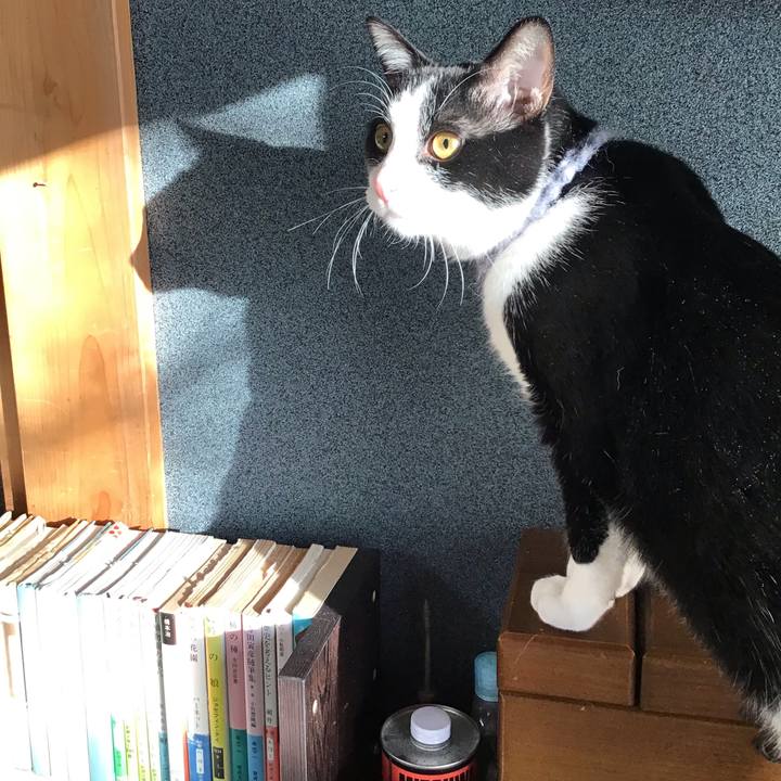 Cf0e45dd 1cf4 4e1e acc9 17db6c1fcd2e 1643768504688