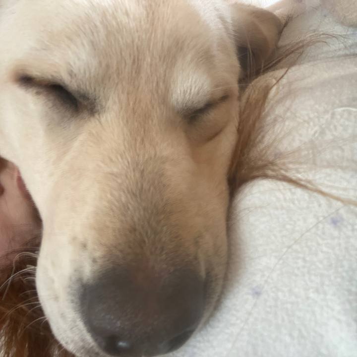 Cf0e5862 e046 47bf 951e f5d6eeec92a9 1617840182795