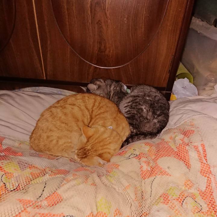 Cf0e6141 c80b 4b9d a581 5457475b6d51 1587234024842