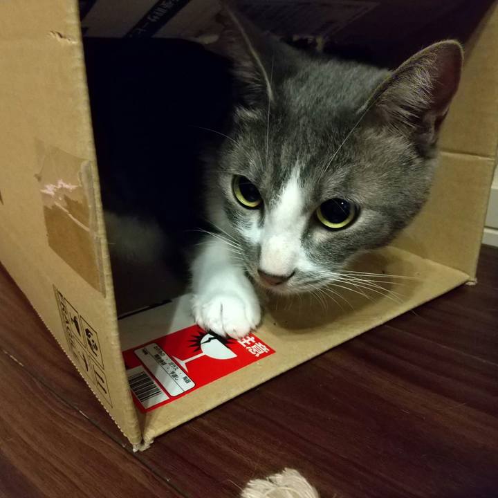 Cf0e71c6 0841 48fc 83b2 ca7e3ee92aa9 1598195437688