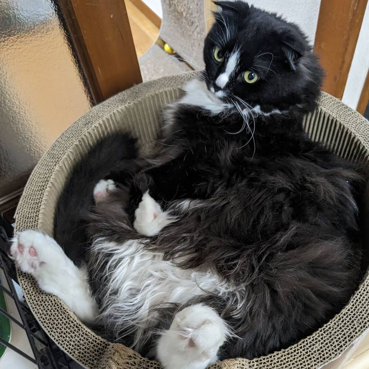 Cf0eceb7 35ad 4ac5 b5cd f56396d67a8e 1715506499960