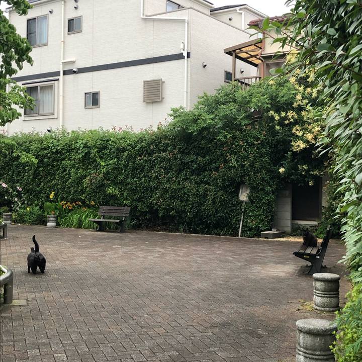 Cf0f0b3e 76fa 4cfc bd91 89b53e6059c7 1562344094688