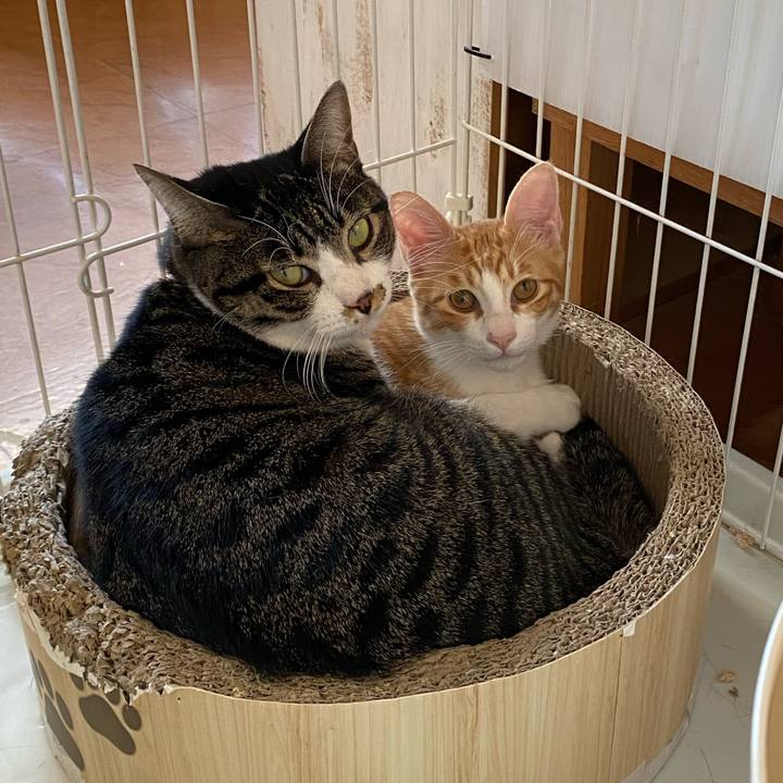 Cf0f13d7 5018 4484 8f75 6970ce832b7c 1730866103423