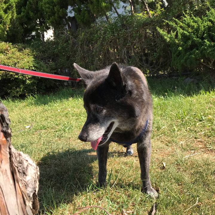 Cf0f3564 88f9 491a af1d bebd67257f1d 1561726044838