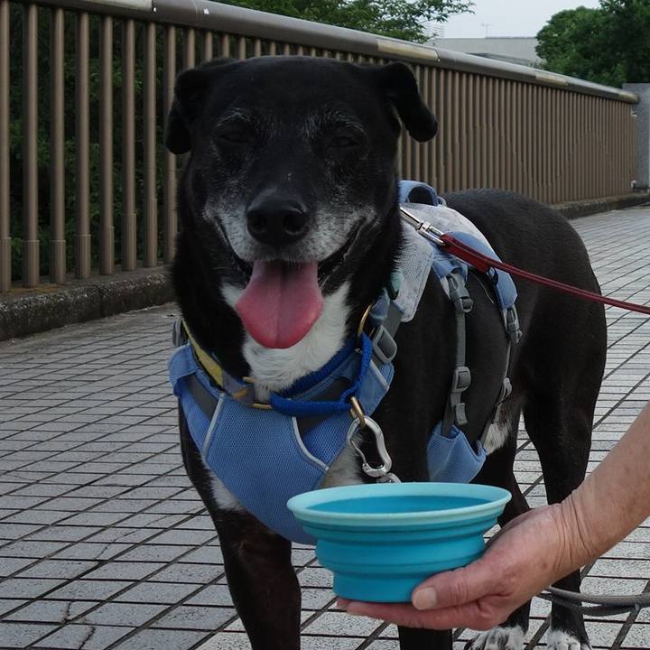 Cf0f3c65 7137 4933 a915 d0b3dca9ba99 1751674865345