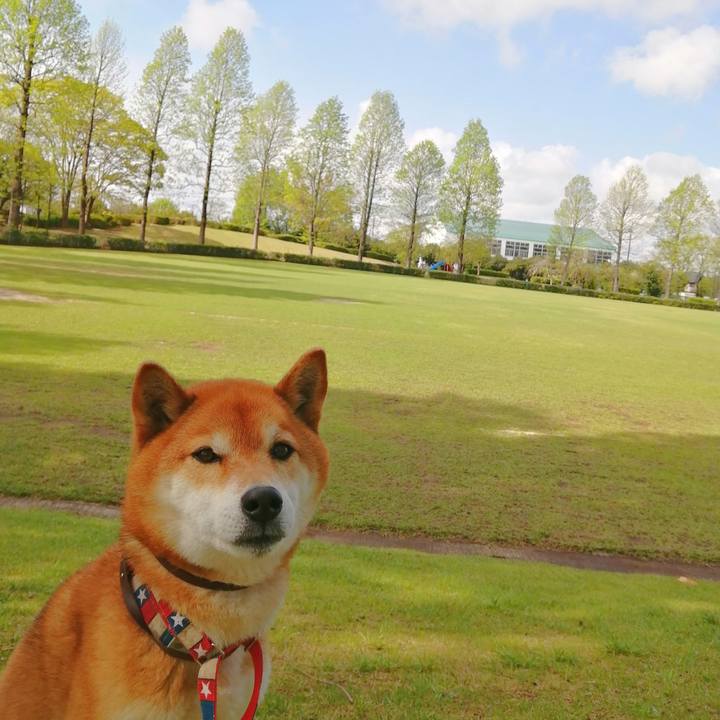 Cf0f6e9c 0908 46b1 8055 ce79b8c1268d 1650333372883