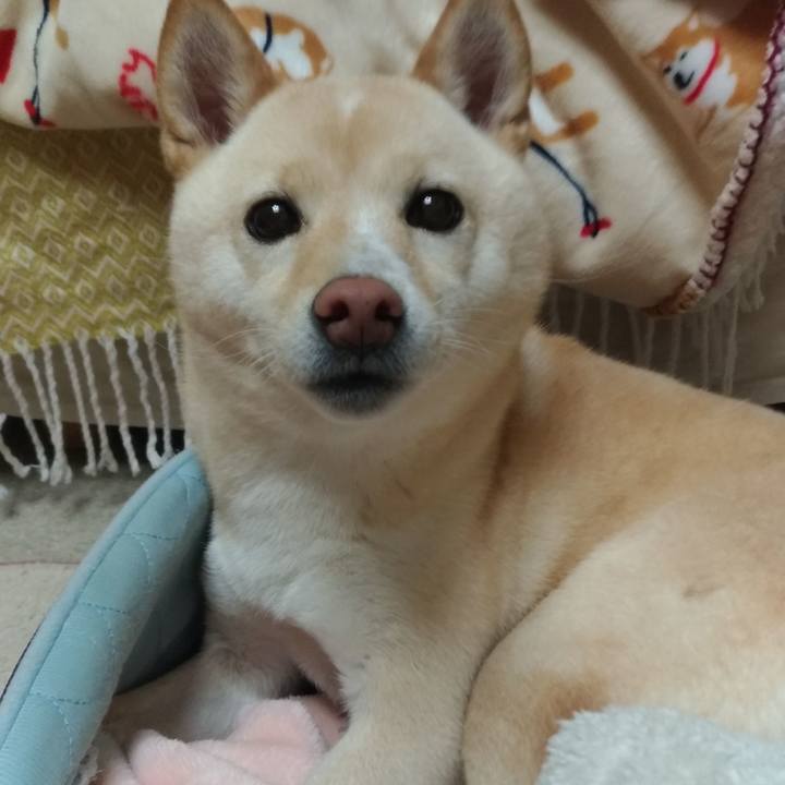 Cf0ff668 9d09 4fee 99cf f2bcc5c2b0d3 1576493622388