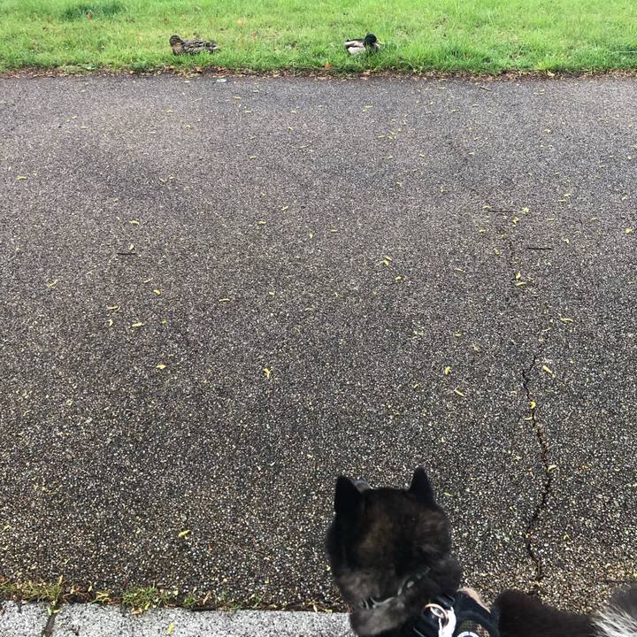 Cf1024c5 55ed 44e2 8394 6666e8fb56b3 1589167443845