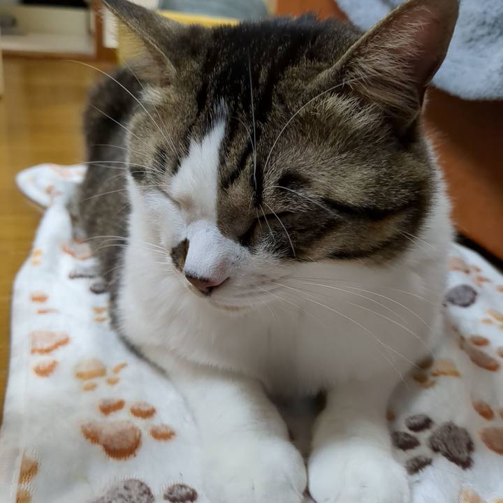 Cf1041b3 e22d 494c 8f6d a4c1818b6757 1674991512549