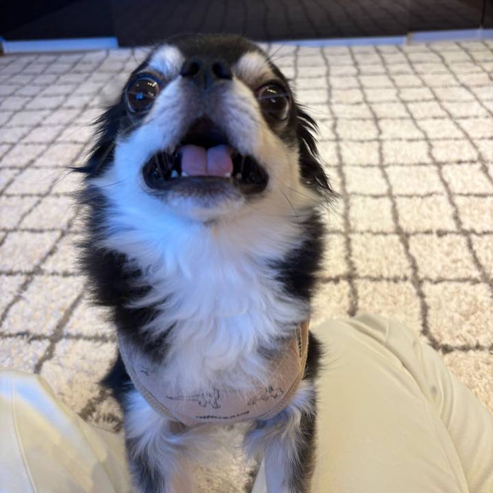 Cf10479b 202e 44f2 aee7 6f691bbc8878 1740327439028