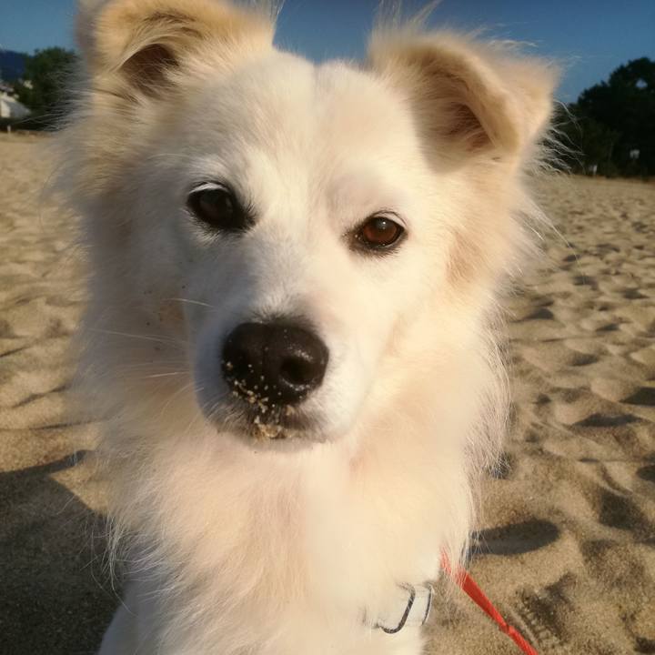 Cf105b67 14c5 4681 abee baaf2507dc7d 1510015835289