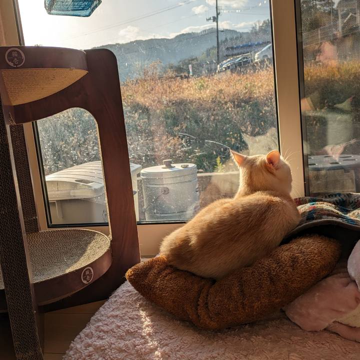 Cf107c33 6072 4f93 9139 ca6c77b79694 1702164109276