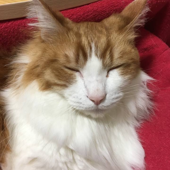 Cf10c944 16e3 42a0 af68 96bc16c0e9a4 1518536519635