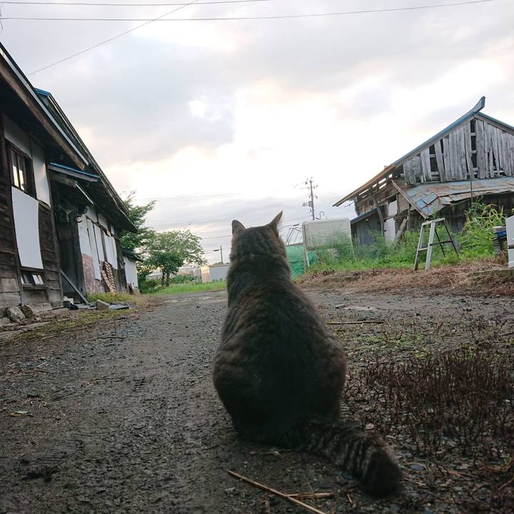 Cf10daf2 81de 4b69 a527 5097d4da0d71 1658608779426