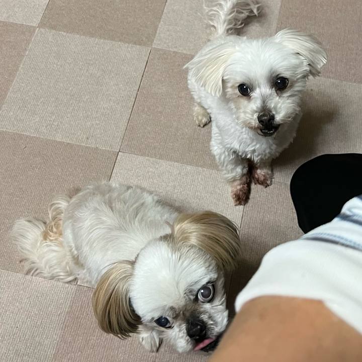 Cf10db73 1800 4464 819c 73b2db7910ba 1650540096847