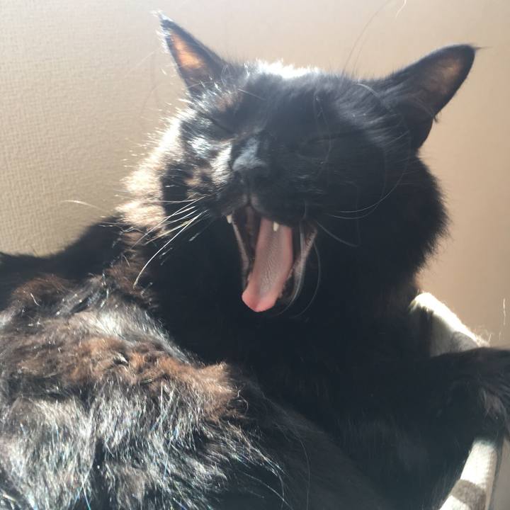 Cf10e4b7 4449 4ac1 91ba 7c2f7dea7286 1533612232211