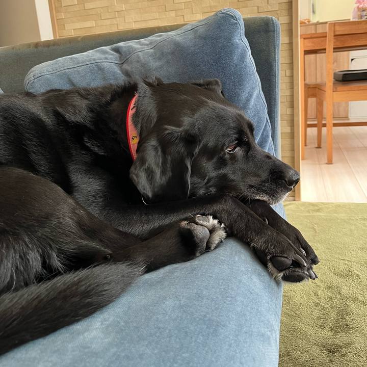 Cf10f628 8f59 4f64 a8b5 3f221f07ae44 1732666283539