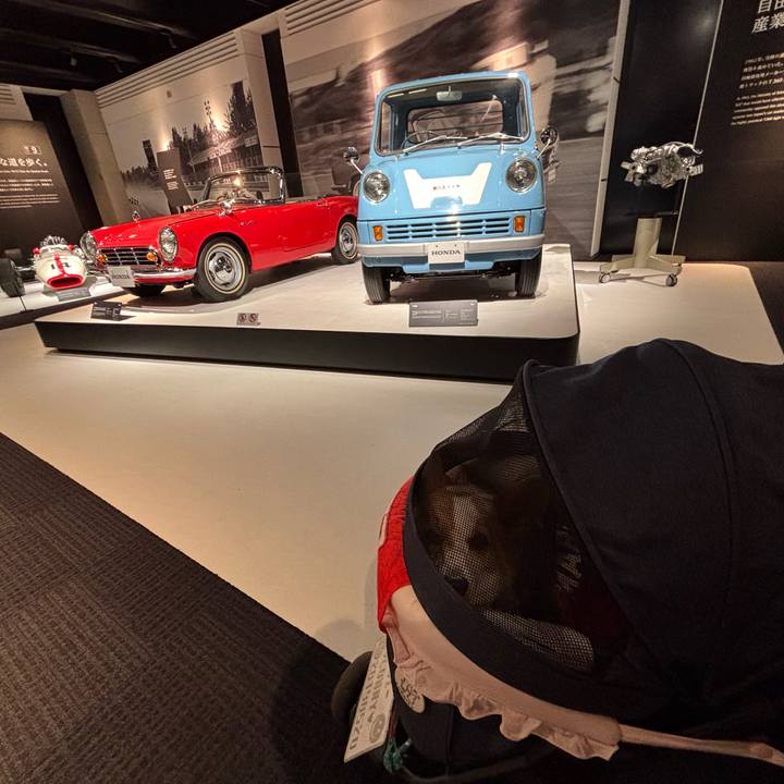 Cf1117b5 5f29 4eac a546 7e1f1c0dea84 1759054490865