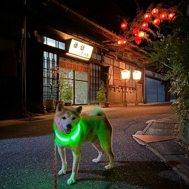 Cf1171b2 da24 4d39 ae8d 3ef98dd278ab 1752927239195