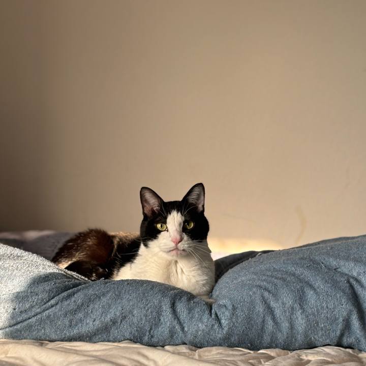 Cf11b673 7128 4d03 a758 fd3a7a296aa8 1774655320886