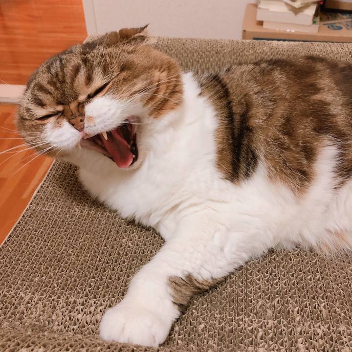 Cf11c37c f7cc 438c a950 34b305aa22e0 1568992780576