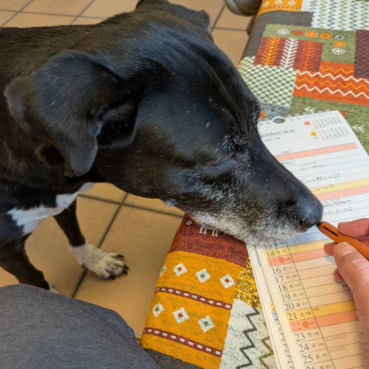 Cf11d91f 37a5 4872 a940 c4b95523c056 1733182557089