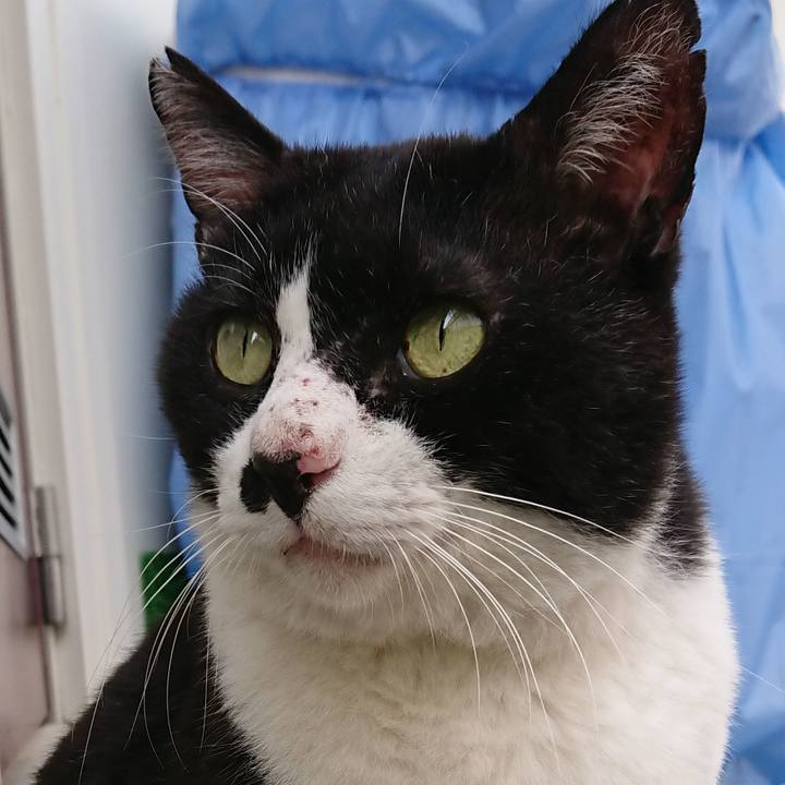 Cf11dab0 6499 4290 9347 d75c367b6748 1534649727600