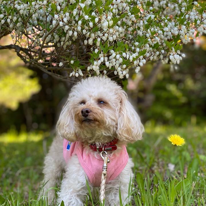 Cf1216a0 5f1b 4e97 a860 5d4fd3946ea0 1618035122870