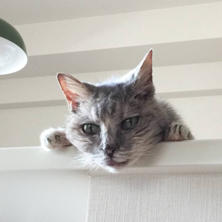 Cf124cf2 25d4 4d9d a033 5ae12a8278e8 1535325319500