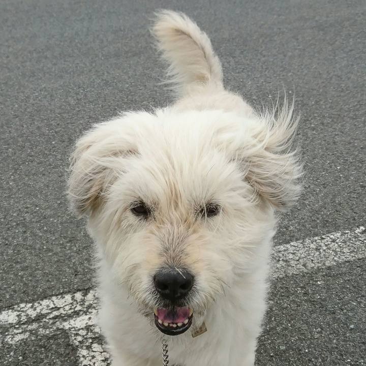 Cf128173 5e59 47a7 a980 90760976d3f6 1562146267262