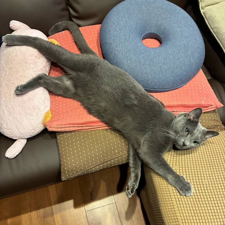 Cf128609 3e17 4720 b7ac 3381c113156d 1760524729265