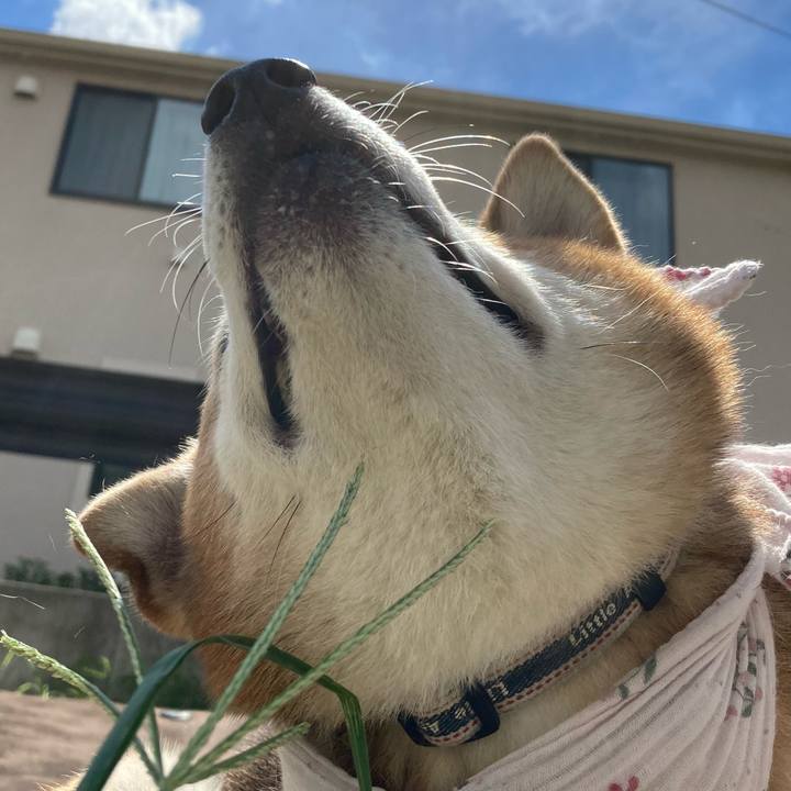 Cf128b4a d6b7 45eb a287 41aad3468215 1693634265046