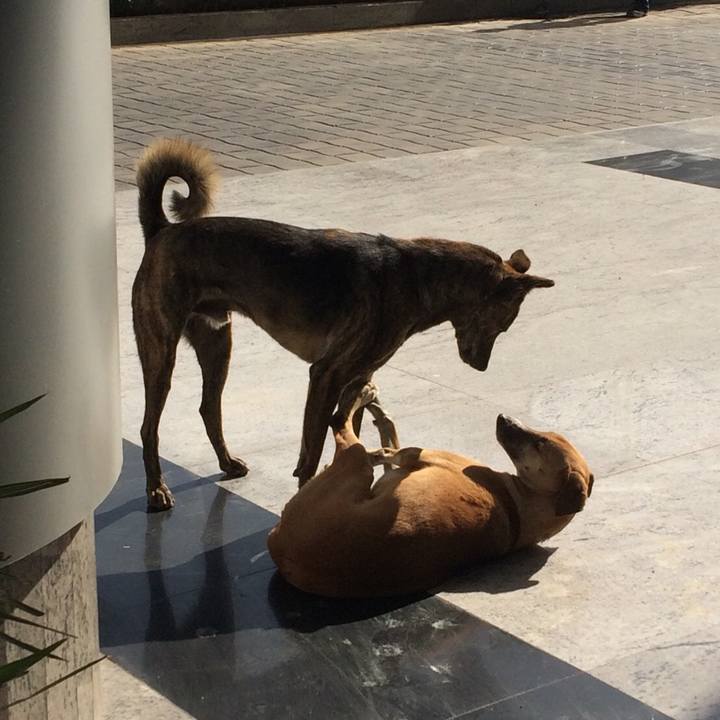 Cf12a461 96bc 47af 9400 6aa307ea4e55 1554477090030