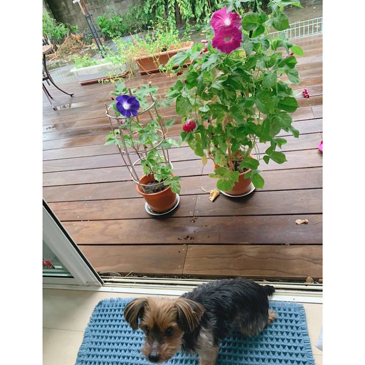 Cf135475 f4f0 4bd7 996a bd5f3782101f 1628892379198