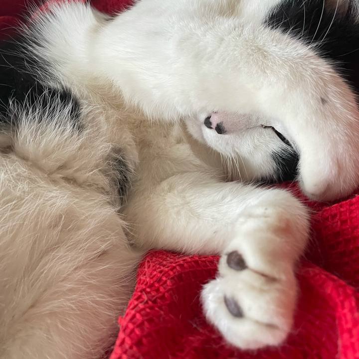 Cf135c3d f344 4e38 b70d e92c30857934 1619994285346