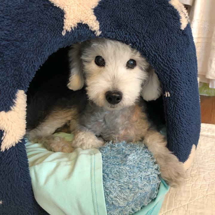 Cf13b6cf 9220 4992 b230 ce8568643574 1600302446364