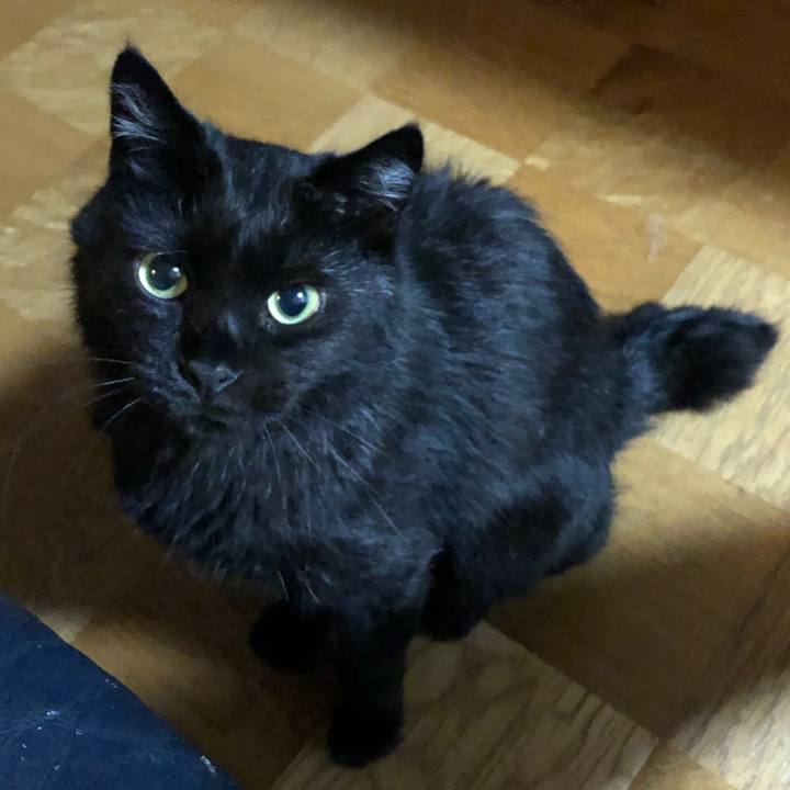 Cf140a77 94d9 4684 85f4 dc9eeaa9d06d 1565959738156