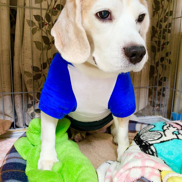 Cf140b11 3503 4206 a693 c971c97c3fe0 1617853870732