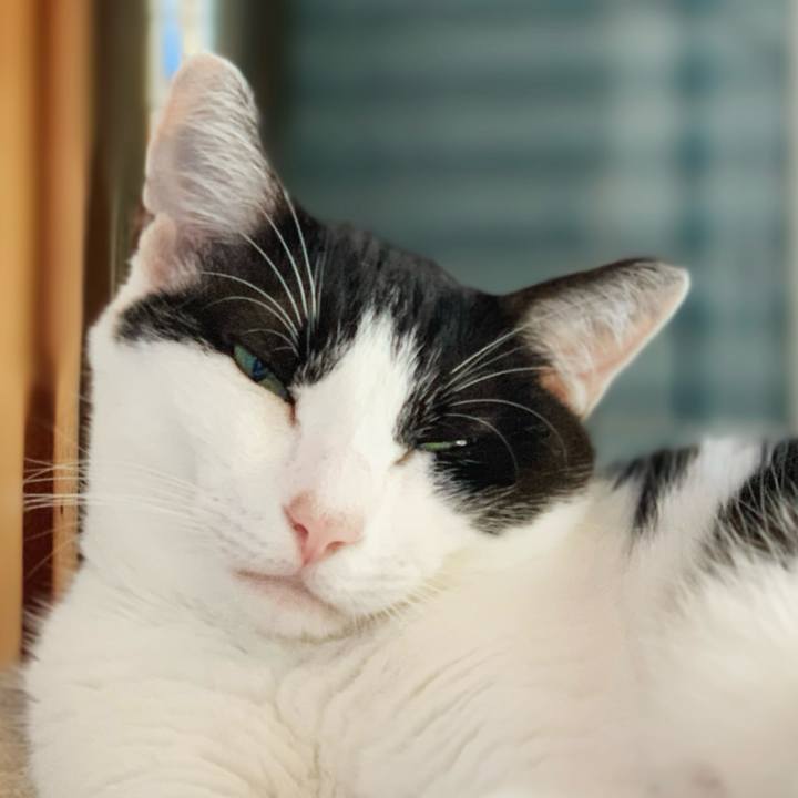 Cf143bd3 bc13 44bc b2c4 6b86a4a8d7a0 1599881137250