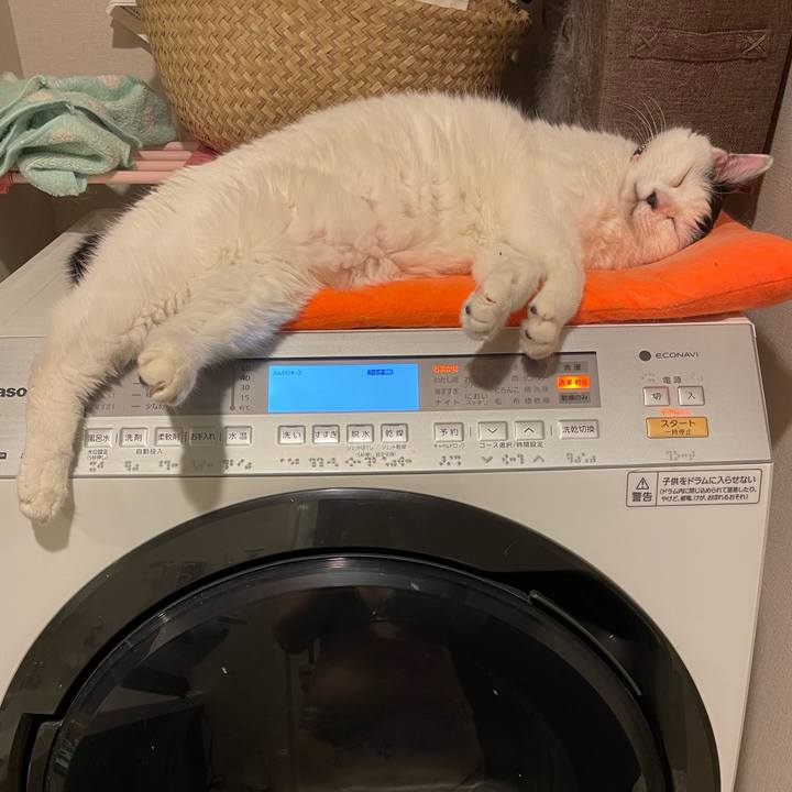 Cf1477fc e22d 4acc b68f 4c8011e5746f 1735052347483