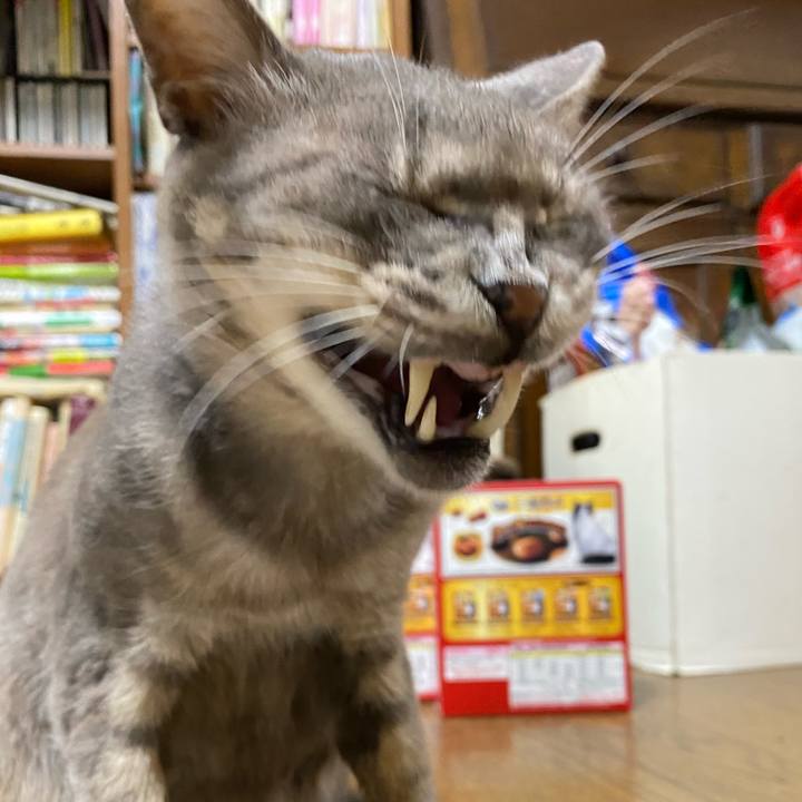 Cf147a0b 19d6 4a6a a3df 87017b763d86 1600044607986