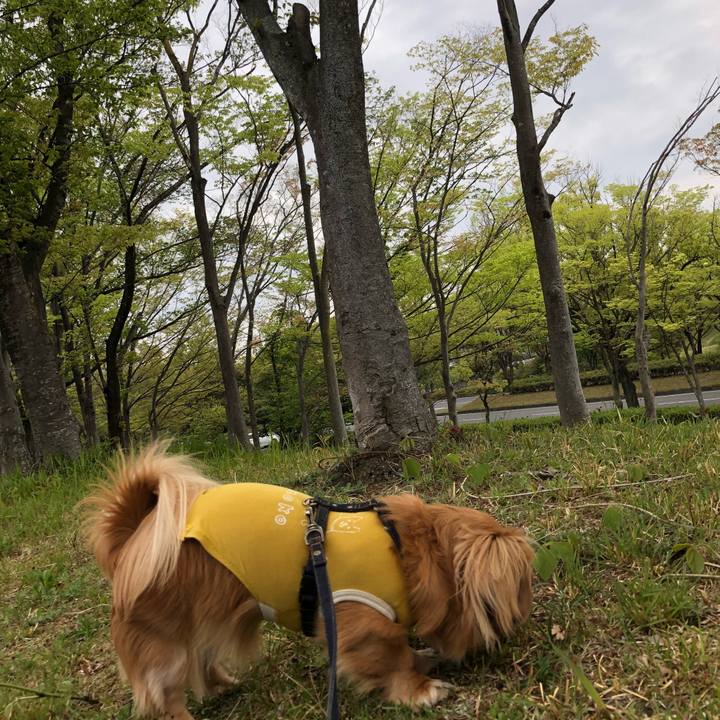 Cf149b97 451a 4fb1 a535 fd8d569472be 1523655351795