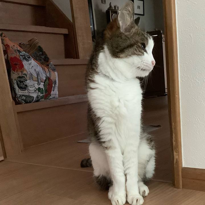 Cf14d632 a188 4a25 9f30 71f20d326fd9 1595675184011