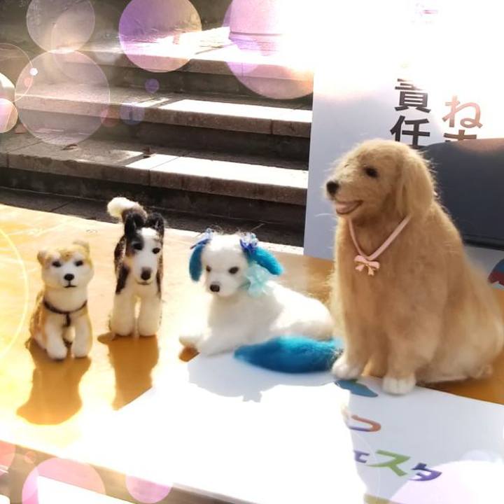 Cf14f8ea 5bb3 4229 be7a 473b6467eeba 1537836656659