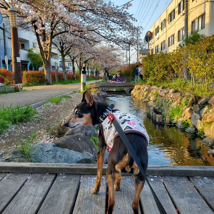 Cf150252 8d6b 4a73 a6a8 8cb9d20dd1e7 1680345429450