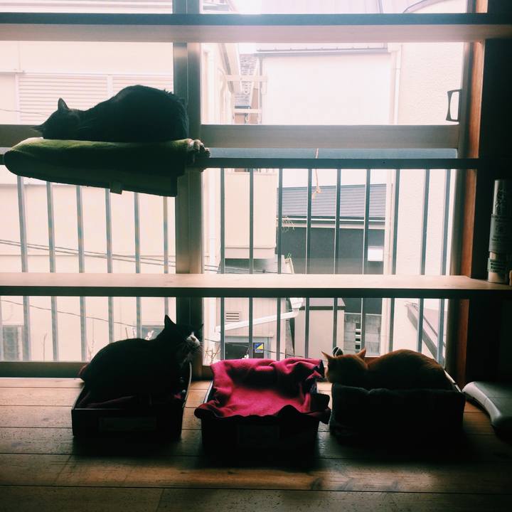 Cf150b2e 38d7 4541 a5c8 9c67e522a179 1552208786928