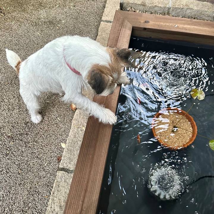 Cf151b14 96f1 4da6 9ae2 b7ec2a68c75e 1693876785234