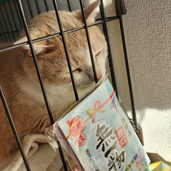 Cf156db1 31ac 4e82 a921 fca014f63ae6 1640995317219